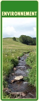 Services Environnement